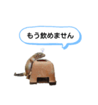 たけぞうはハロウィンマスク（個別スタンプ：7）