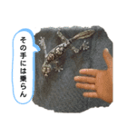 たけぞうはハロウィンマスク（個別スタンプ：10）