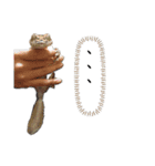 たけぞうはハロウィンマスク（個別スタンプ：11）