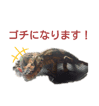 たけぞうはハロウィンマスク（個別スタンプ：13）