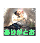 四天王とゆかいな仲間たち（個別スタンプ：29）