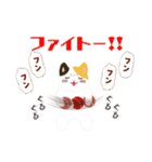 冬にもnyanya_sanスタンプ（個別スタンプ：20）
