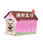 ココたんとびびちゃんスタンプ（個別スタンプ：22）