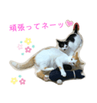 トラチワちゃん☆☆♡（個別スタンプ：2）