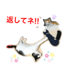 トラチワちゃん☆☆♡（個別スタンプ：5）