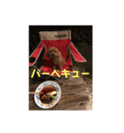 チャチャポヤ コロンオマケ付き（個別スタンプ：14）