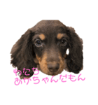 ららくんスタンプ（個別スタンプ：5）