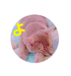 れおちゃん・ゆめちゃん2（個別スタンプ：9）