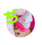 れおちゃん・ゆめちゃん2（個別スタンプ：22）