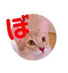 れおちゃん・ゆめちゃん2（個別スタンプ：30）