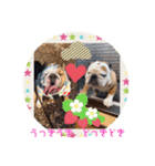 ブルドッグのぶるお＆ガジラ♡ラブラブ♡（個別スタンプ：8）