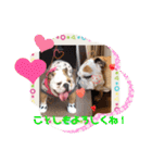 ブルドッグのぶるお＆ガジラ♡ラブラブ♡（個別スタンプ：11）