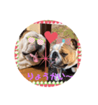 ブルドッグのぶるお＆ガジラ♡ラブラブ♡（個別スタンプ：12）