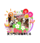ブルドッグのぶるお＆ガジラ♡ラブラブ♡（個別スタンプ：18）