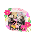 ブルドッグのぶるお＆ガジラ♡ラブラブ♡（個別スタンプ：19）