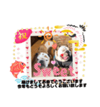 ブルドッグのぶるお＆ガジラ♡ラブラブ♡（個別スタンプ：21）