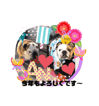 ブルドッグのぶるお＆ガジラ♡ラブラブ♡（個別スタンプ：22）