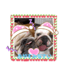 ブルドッグのぶるお＆ガジラ♡ラブラブ♡（個別スタンプ：24）
