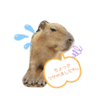 nao's animal  stamp（個別スタンプ：2）