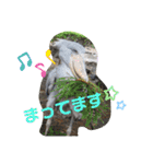nao's animal  stamp（個別スタンプ：3）