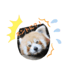 nao's animal  stamp（個別スタンプ：4）