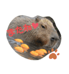 nao's animal  stamp（個別スタンプ：9）