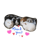 nao's animal  stamp（個別スタンプ：10）
