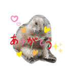 nao's animal  stamp（個別スタンプ：11）
