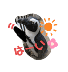 nao's animal  stamp（個別スタンプ：15）