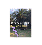 ありがとう♡♡（個別スタンプ：13）