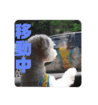 すくすくこむすけ②（個別スタンプ：18）