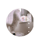 すくすくこむすけ②（個別スタンプ：19）