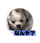 すくすくこむすけ②（個別スタンプ：26）