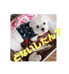 すくすくこむすけ②（個別スタンプ：29）