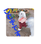 すくすくこむすけ②（個別スタンプ：32）