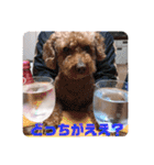 すくすくこむすけ②（個別スタンプ：34）