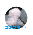 すくすくこむすけ②（個別スタンプ：36）