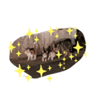 お互いを大切に想うスタンプ（個別スタンプ：8）