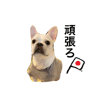 ヨーダvol4（個別スタンプ：5）