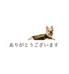 ヨーダvol4（個別スタンプ：18）