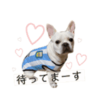 ヨーダvol4（個別スタンプ：24）