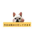 ヨーダvol4（個別スタンプ：30）