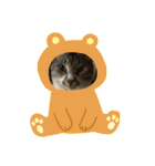 カリちゃん（個別スタンプ：6）