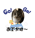 カリちゃん（個別スタンプ：7）