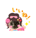 カリちゃん（個別スタンプ：16）