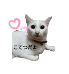 こてつとこたろう（個別スタンプ：1）
