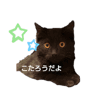 こてつとこたろう（個別スタンプ：2）