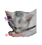 こてつとこたろう（個別スタンプ：3）