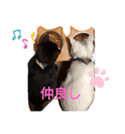 こてつとこたろう（個別スタンプ：4）