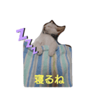 こてつとこたろう（個別スタンプ：6）